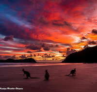 Heather's Mica Cottage - Timeshare Accommodation