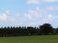 Karingal Homestead BB