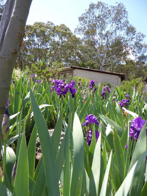 Lakeside Lodge Armidale - Timeshare Accommodation 3