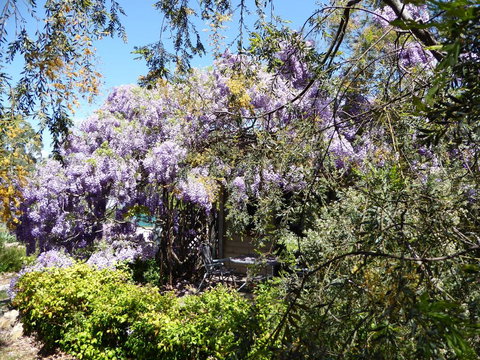 Lakeside Lodge Armidale - Timeshare Accommodation 1