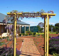 Lavendale Farmstay and Cottages York - Timeshare Accommodation