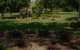 Manderley Park Farmstay B&B - thumb 3