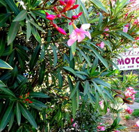 Mercury motor inn - Timeshare Accommodation