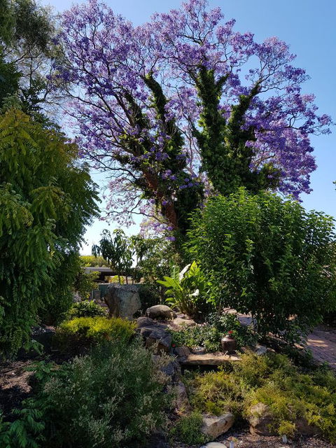 Jacaranda Hideaway Bed & Breakfast - Timeshare Accommodation 10
