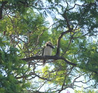 Jacaranda Hideaway Bed  Breakfast - Timeshare Accommodation