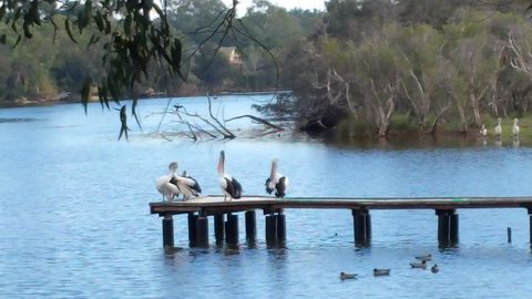 Jacaranda Hideaway Bed & Breakfast - Timeshare Accommodation 18