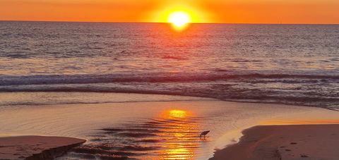 Sandcastles At The Beach Outstanding Location! - Timeshare Accommodation 23