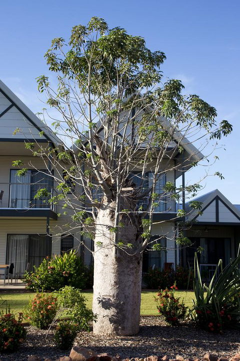 Freshwater East Kimberley Apartments - Timeshare Accommodation 18