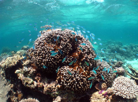 Ningaloo Coral Bay â€“ Bayview - Timeshare Accommodation 2