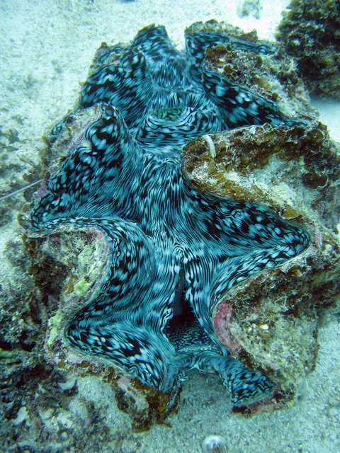 Ningaloo Coral Bay â€“ Bayview - Timeshare Accommodation 5