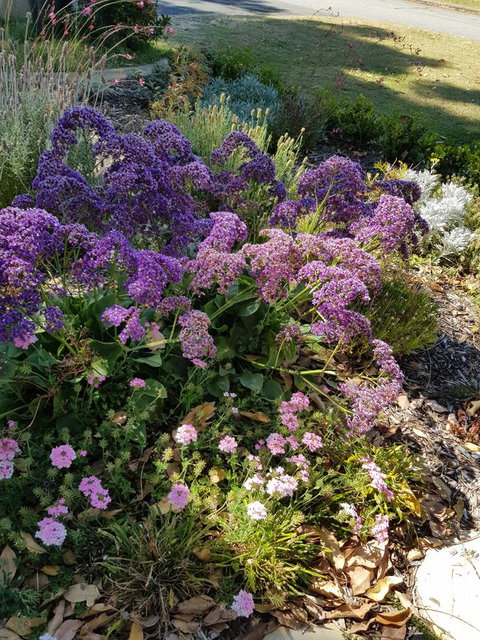 While Away Holiday Accommodation - Timeshare Accommodation 16