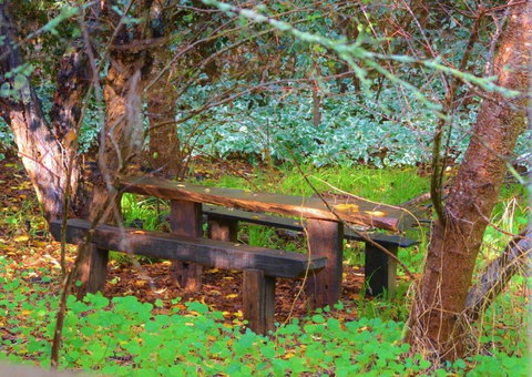 Black Cockatoo Lodge - Timeshare Accommodation 44