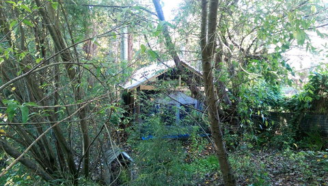 Black Cockatoo Lodge - Timeshare Accommodation 22