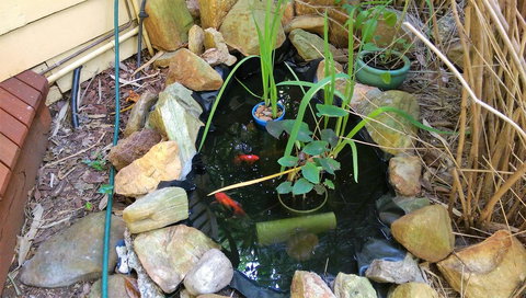 Black Cockatoo Lodge - Timeshare Accommodation 29