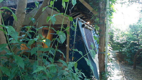 Black Cockatoo Lodge - Timeshare Accommodation 13