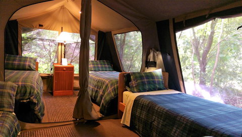 Black Cockatoo Lodge - Timeshare Accommodation 17