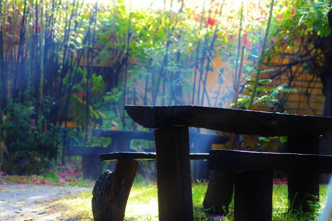 Black Cockatoo Lodge - Timeshare Accommodation 43