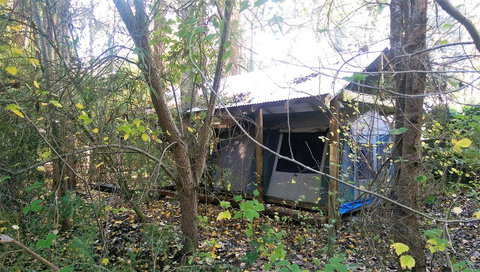 Black Cockatoo Lodge - Timeshare Accommodation 11