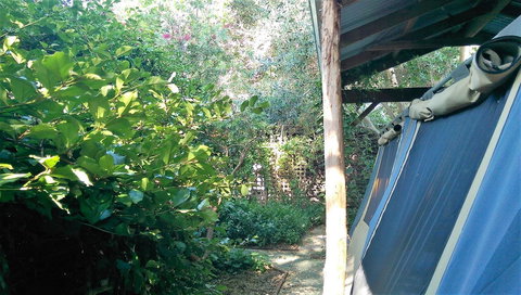 Black Cockatoo Lodge - Timeshare Accommodation 12