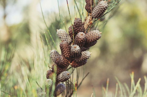 Oyster Cove Chalet - Timeshare Accommodation 30