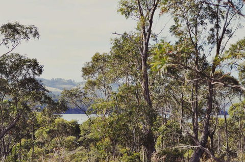 Oyster Cove Chalet - Timeshare Accommodation 17