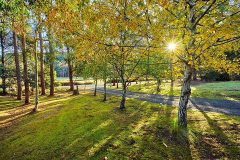 Oyster Cove Chalet - Timeshare Accommodation 1