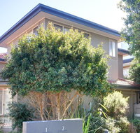 One Street Back from the Surf Beach - Timeshare Accommodation