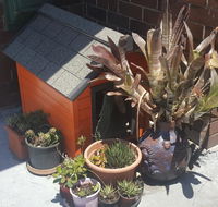 Orange Grove Hotel - Timeshare Accommodation