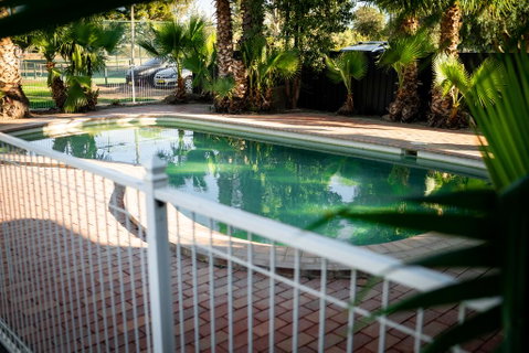 Palm And Pawn Motor Inn - Timeshare Accommodation 1