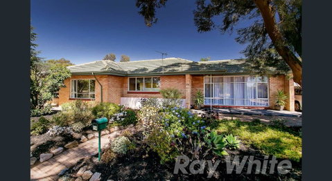Pasadena Quinlan - Timeshare Accommodation 0