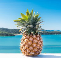 Pineapple House Whitsundays - Timeshare Accommodation