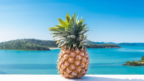 Pineapple House Whitsundays - Timeshare Accommodation 0