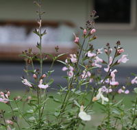 Serendipity on Allyn - Timeshare Accommodation