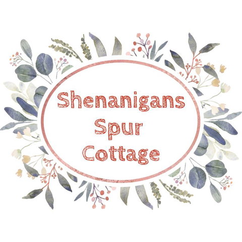 Shenanigans Spur Cottage - Timeshare Accommodation 3