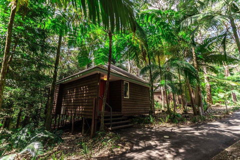 Songbirds Rainforest Retreat - Timeshare Accommodation 2