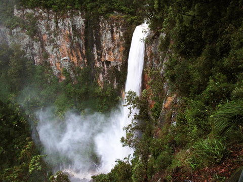 Springbrook Lyrebird Retreat - Timeshare Accommodation 2