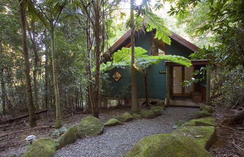 Springbrook Lyrebird Retreat - Timeshare Accommodation 1