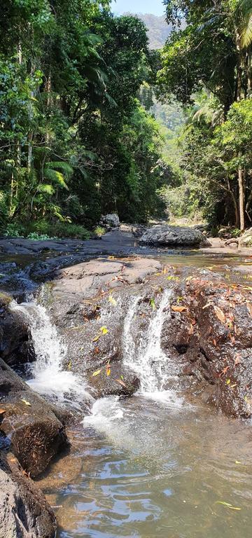 Springbrook25 Upper Apartment - Timeshare Accommodation 3