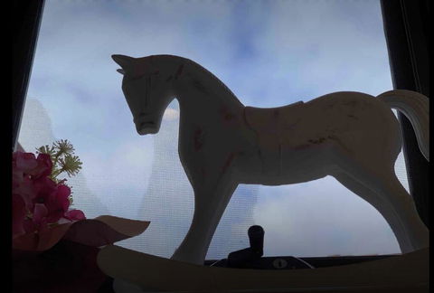 Sweet Home On Elgar - Timeshare Accommodation 3