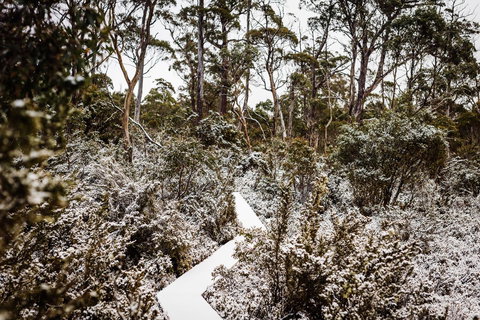 Cradle Mountain Hotel - Timeshare Accommodation 6