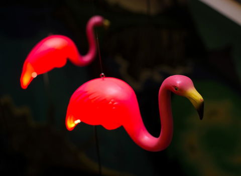 Alabama Hotel Hobart - Timeshare Accommodation 42