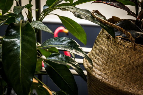 Alabama Hotel Hobart - Timeshare Accommodation 25