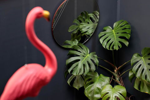 Alabama Hotel Hobart - Timeshare Accommodation 15