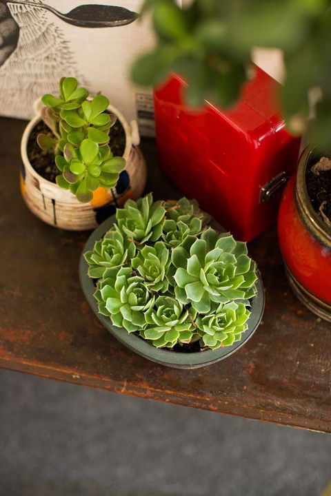 Alabama Hotel Hobart - Timeshare Accommodation 39