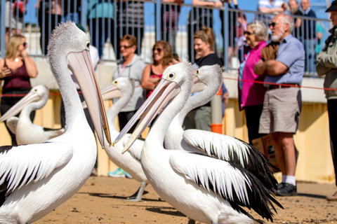 BIG4 Ingenia Holidays Phillip Island - Timeshare Accommodation 17