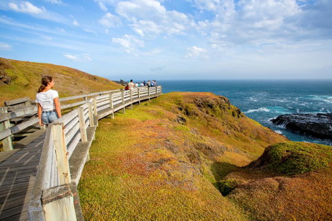 BIG4 Ingenia Holidays Phillip Island - Timeshare Accommodation 19