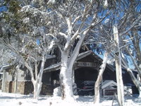 Book Dinner Plain Accommodation Vacations Timeshare Accommodation Timeshare Accommodation