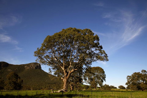 Dunkeld Studio Accommodation - Timeshare Accommodation 23