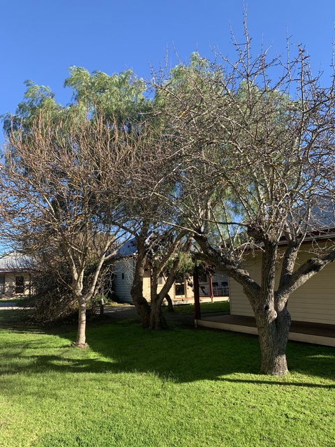 Dunkeld Studio Accommodation - Timeshare Accommodation 4