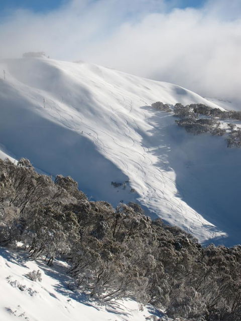 The Harrietville Snowline Hotel - Timeshare Accommodation 29